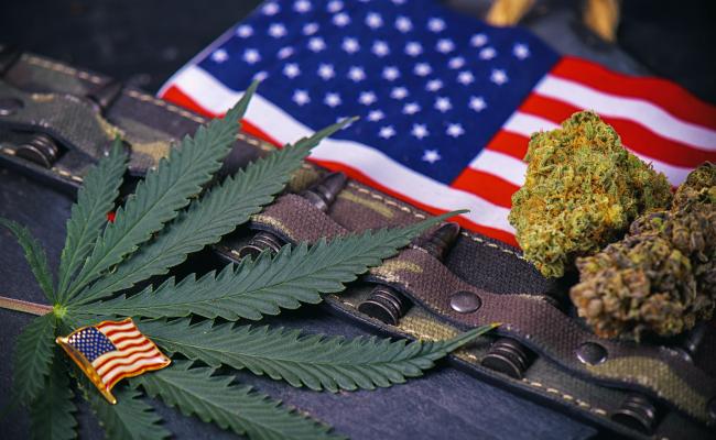 Medical Marijuana for PTSD