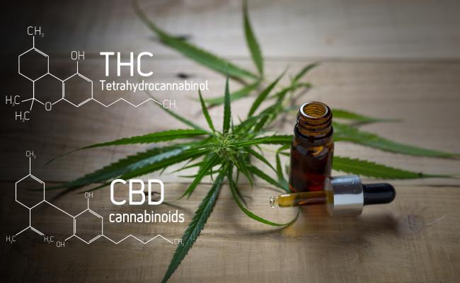 THC and CBD