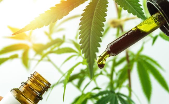 CBD Oil