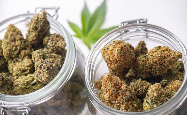 Containers filled with hemp flower and a cannabis leaf sit on a table.