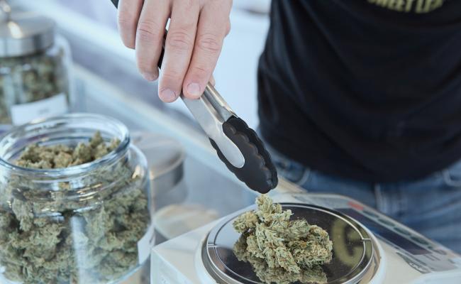 Florida Medical Marijuana Dispensary Guide 