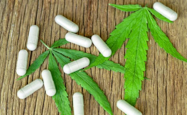 Marijuana and antibiotics