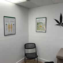 Marijuana Doctor Clearwater-Palm Harbor medical cannabis clinic interior Marijuana Doctor Clearwater-Palm Harbor medical cannabis clinic interior