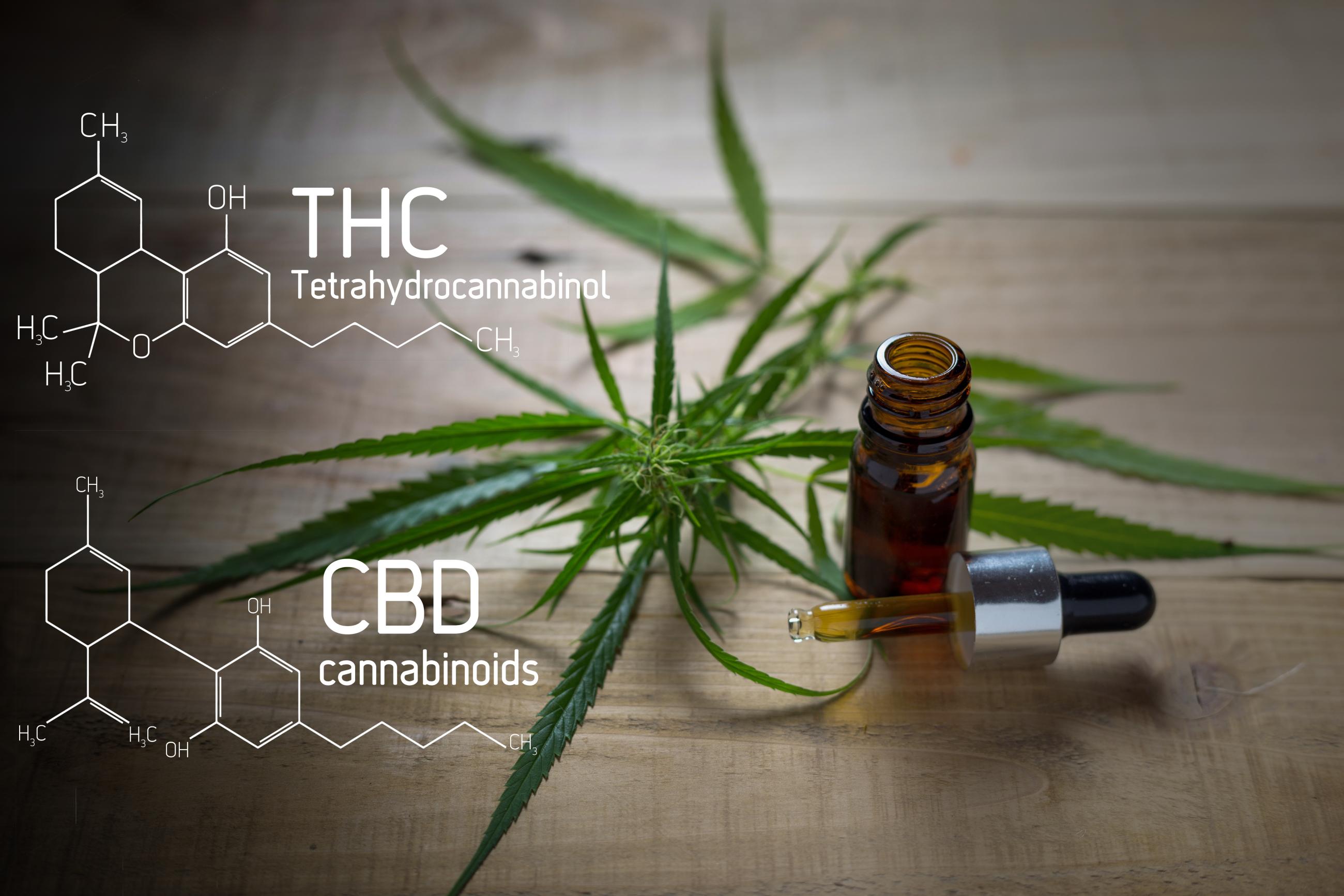 THC and CBD