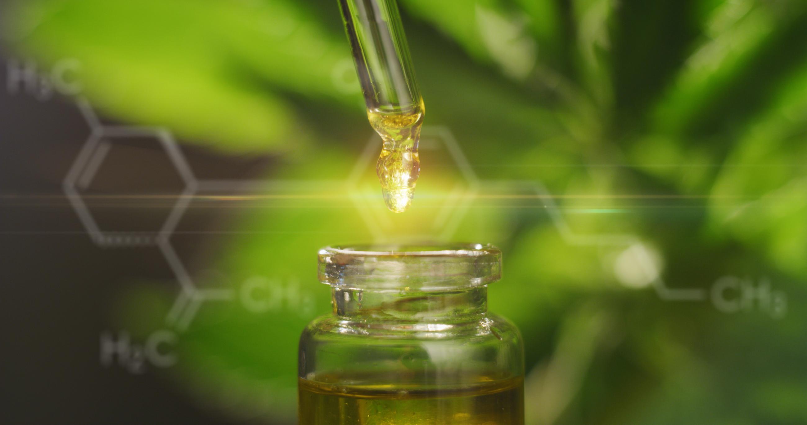 CBD Oil