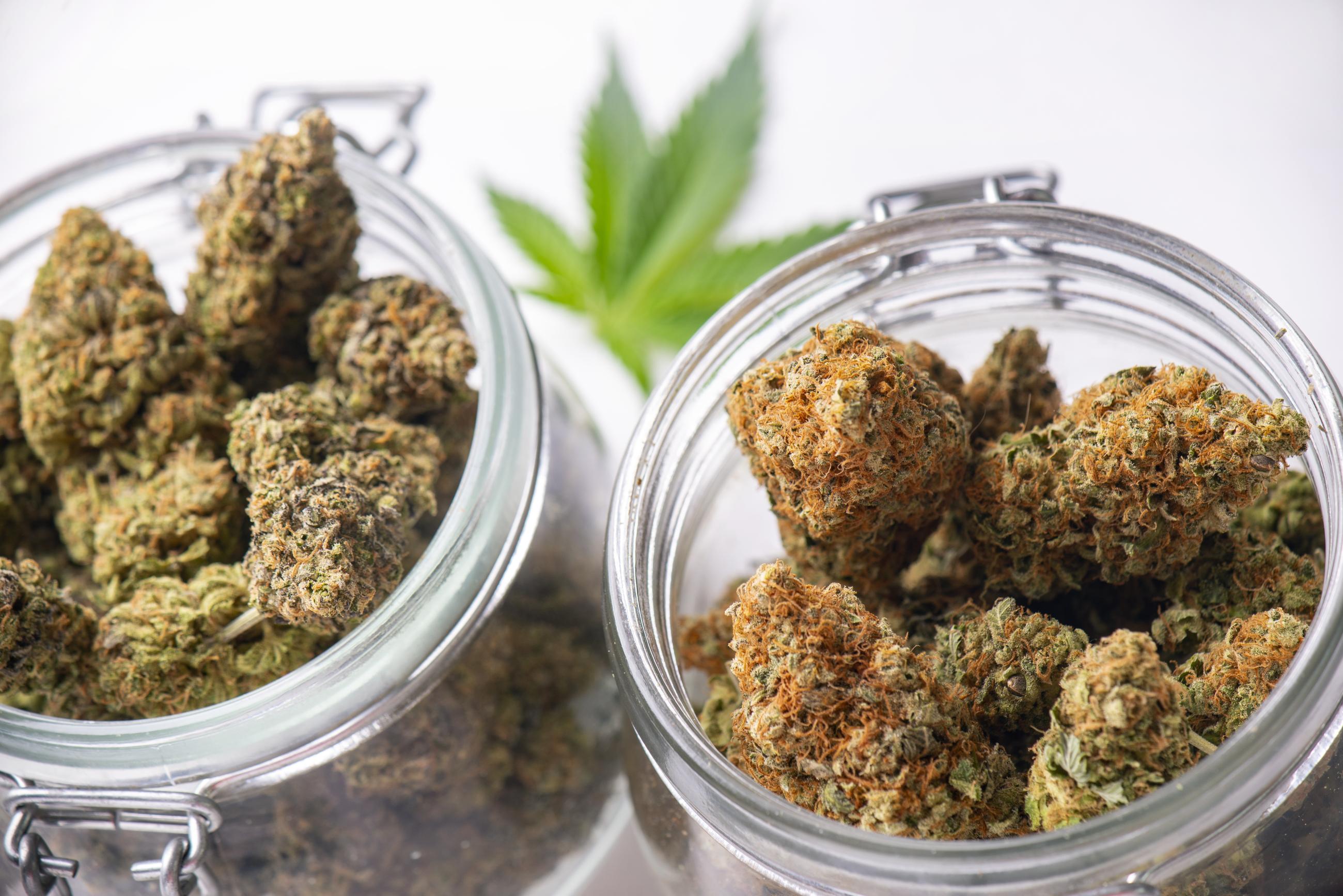 Containers filled with hemp flower and a cannabis leaf sit on a table.